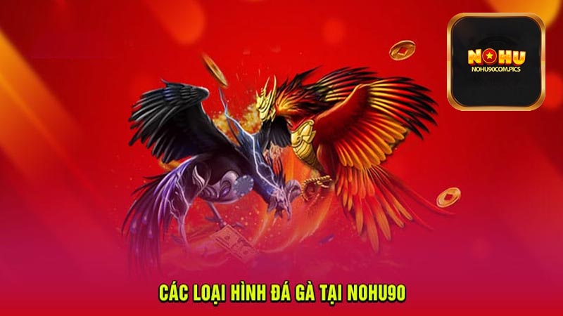 Những điểm gì đã tạo ra sức hút đẳng cấp của sảnh đá gà nohu90